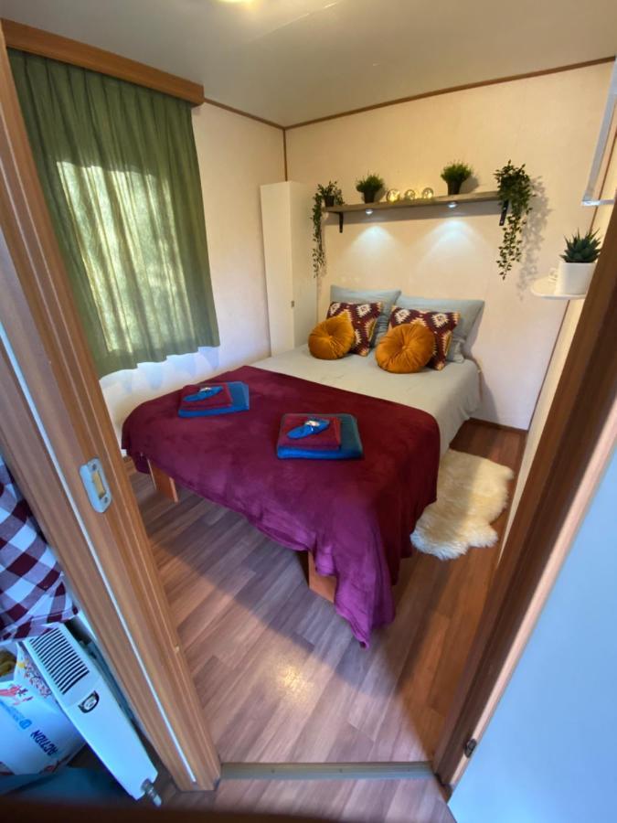Gezellige Chalet In Bosrijke Omgeving Villa Anloo Esterno foto